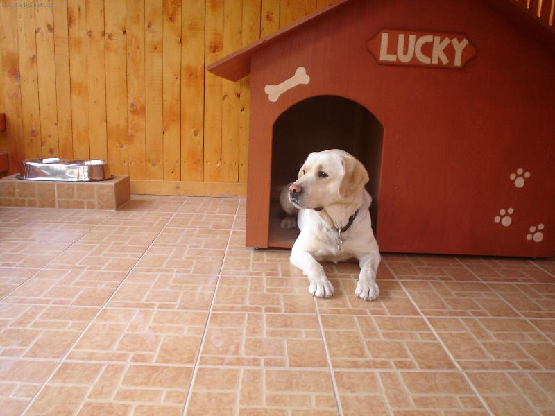 Foto: ve sv�m kr�lovstv�-n� mil��ek