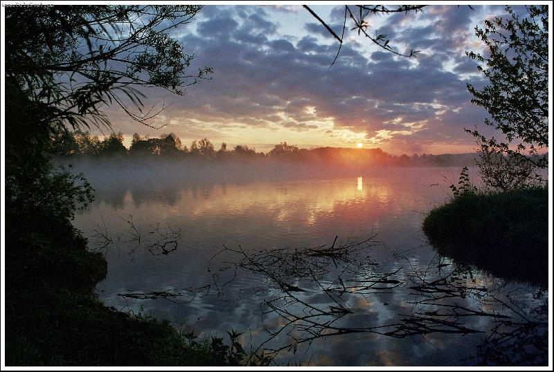 Foto: R�no na rybn�ku