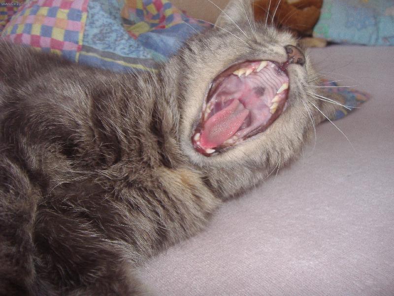 Foto: dobr� r����������no