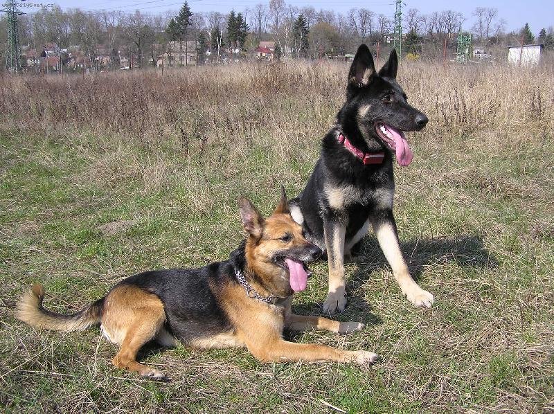 Foto: Mat�sek a Terezka