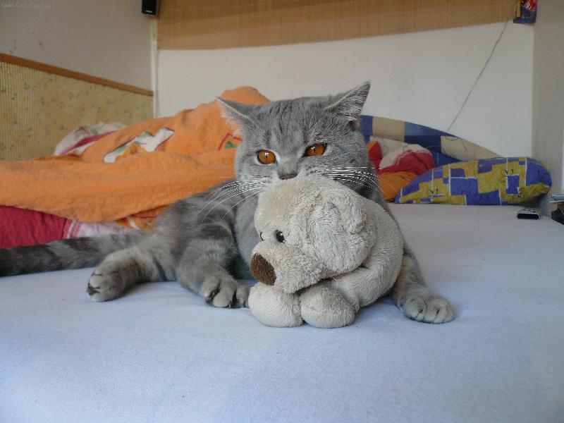 Foto: Maiky-Sv�ho m��u nikomu ned�m!!! :0)))