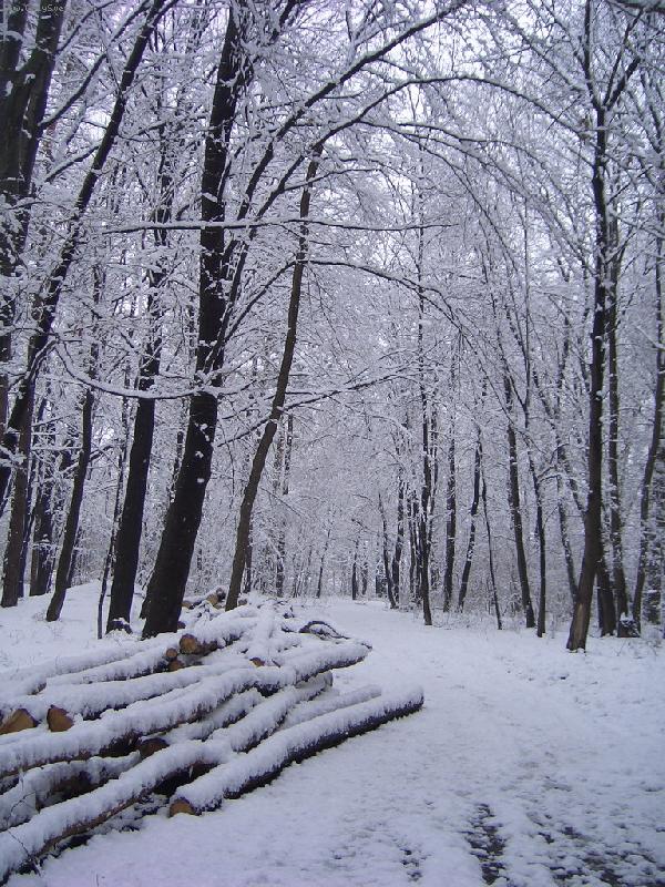 Foto: Posledn� sn�h