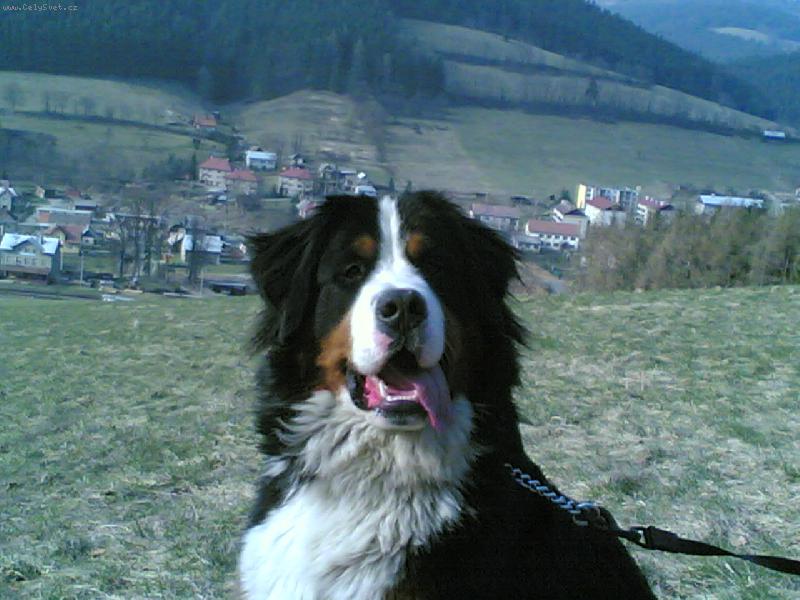 Foto: Bene�ek-Jak jsme byli na t��e :)))