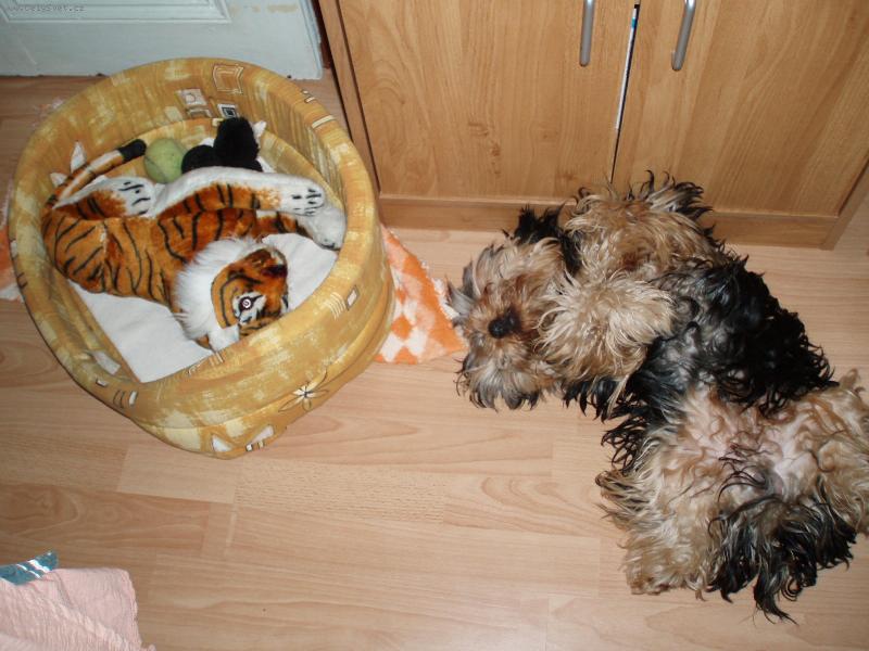 Foto: max��ek-je gentelman :-)