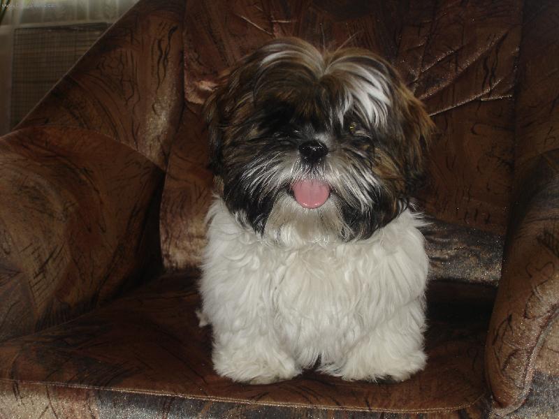 Foto: n� mil��ek-.....j� nejsem ply��k