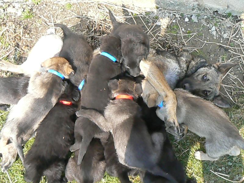 Foto: je n�s hodn�,ale m�ma n�s zvl�dla