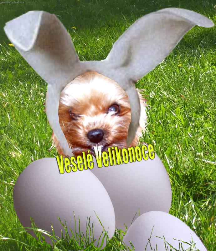 Foto: VESEL� VELIKONOCE