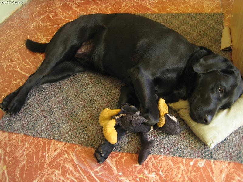 Foto: Tina-odpoledn� siesta