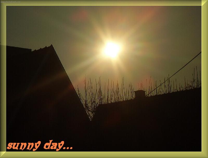 Foto: Slune�n� den...-Foto ze Sokolova