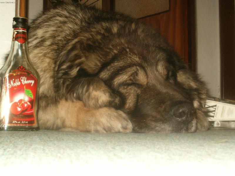 Foto: T�eskut� mrazy na Severn� Morav�