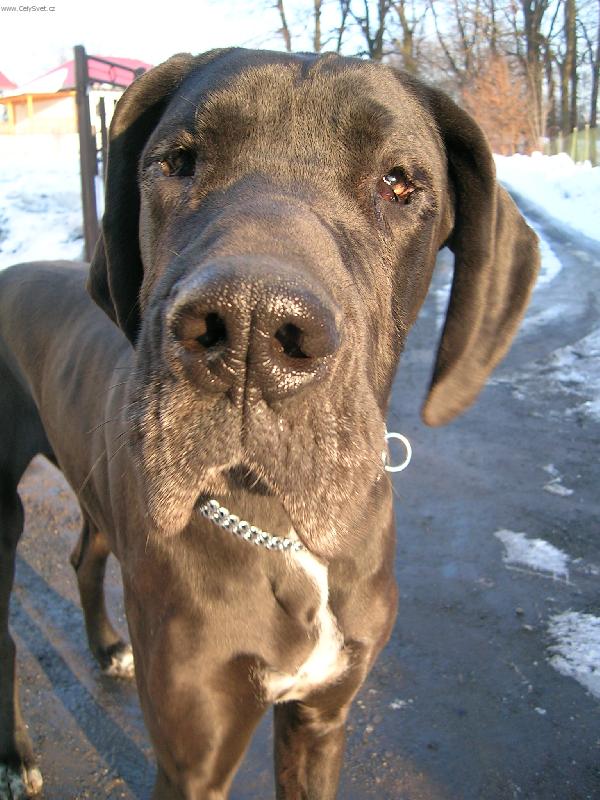 Foto: Kuku�-Moje miminko Gina