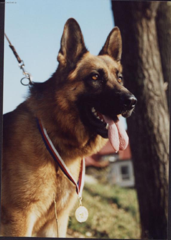 Foto: VICTORY-A dok�em aj vyhr�va�