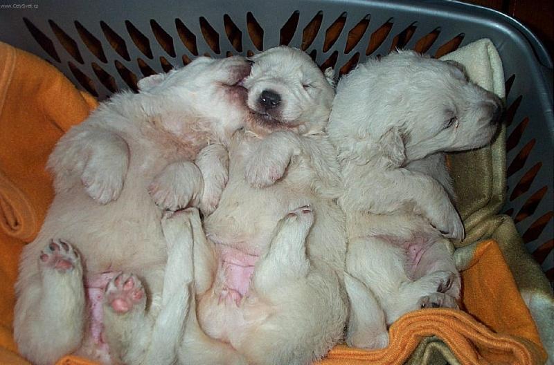 Foto: Miminka-To je moje ou�ko a ne dudl��ek