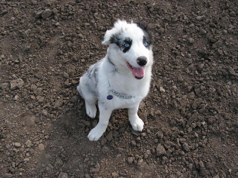 Foto: BAD-na proch�zce