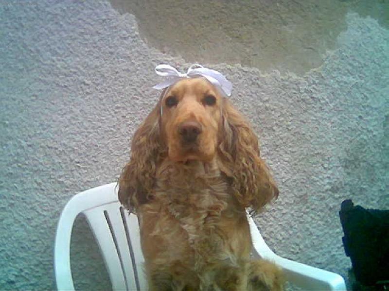 Foto: Besulinka-:-) �e �tydim