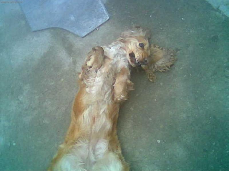 Foto: po� si hr�t