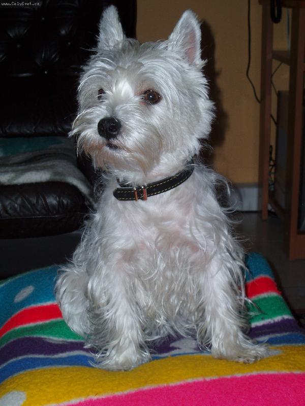 Foto: Nella-Takhle vypad� moje fene�ka