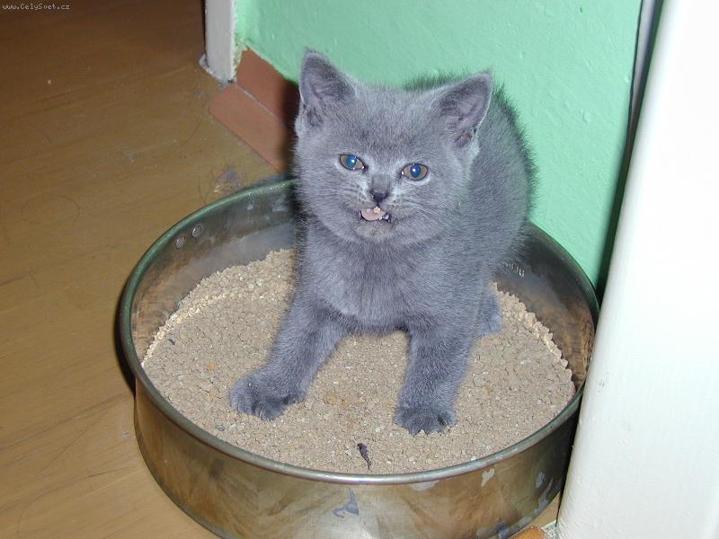 Foto: Nellynka-Nellynka se um� zlobit!