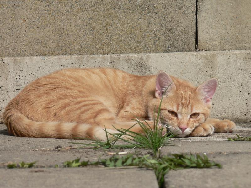 Foto: tak ty m� nenech� sp�t,jo?!!!-no coment