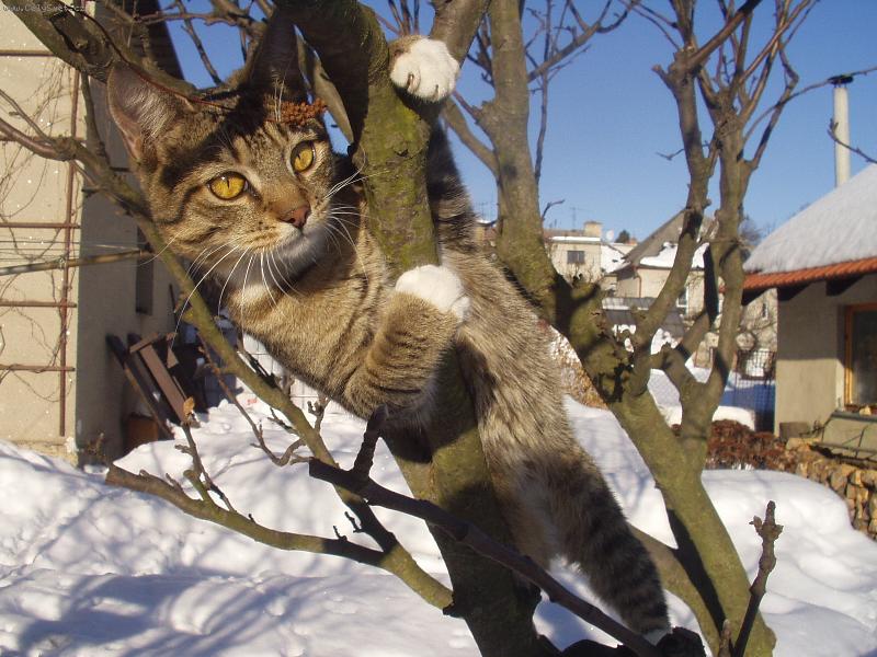 Foto: MOUREK-TEN LEP�� POHLED NA SV�T