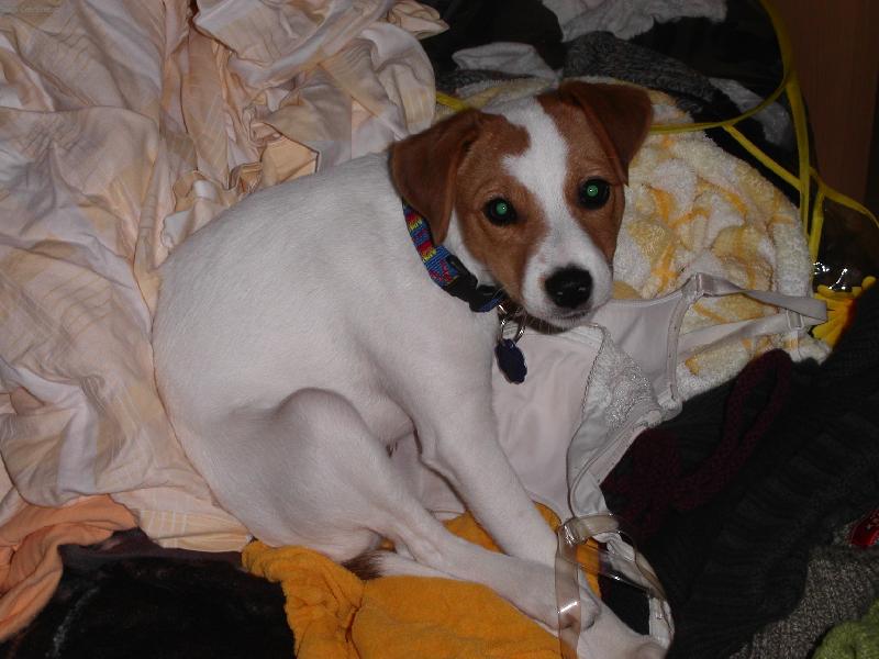 Foto: P�id�te m� do pra�ky?