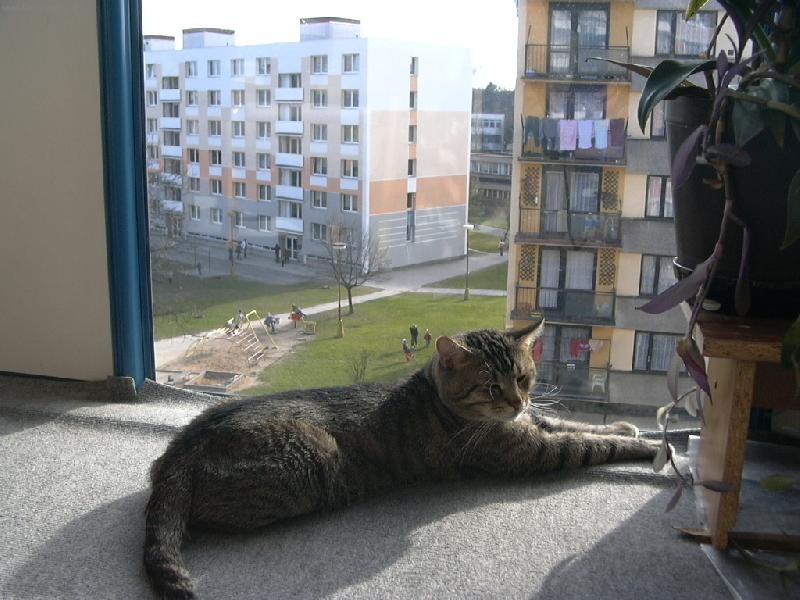 Foto: To je ale pohoda......