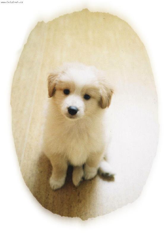 Foto: Ne��astn� Andy-And�sek se boj�,aby jsme na n�ho nezapom�li.