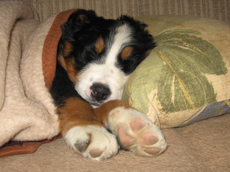 Foto: sp�c� ber��k