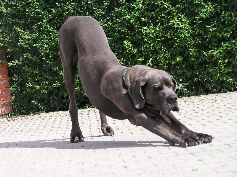 Foto: Hl�d�n� domu je n�kdy nuda