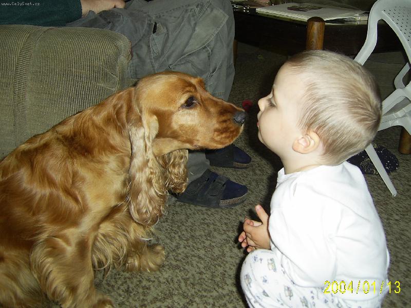 Foto: Dej mi pusinku-St�n�k a Madona Zlat� kar�ty