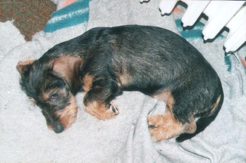 Foto: odpo�inek-p��jemn� odpo�inek u radi�toru