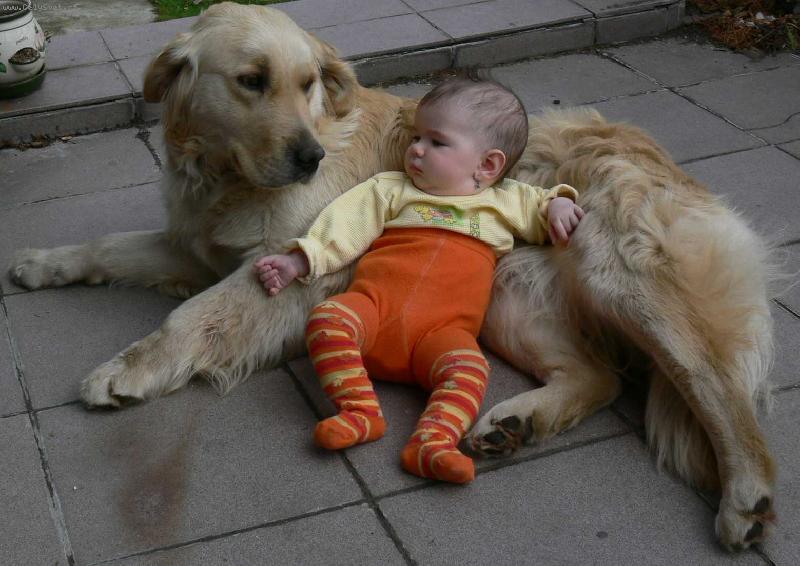 Foto: Ch�va na hl�d�n� aneb m�m nov� "�t���tko"