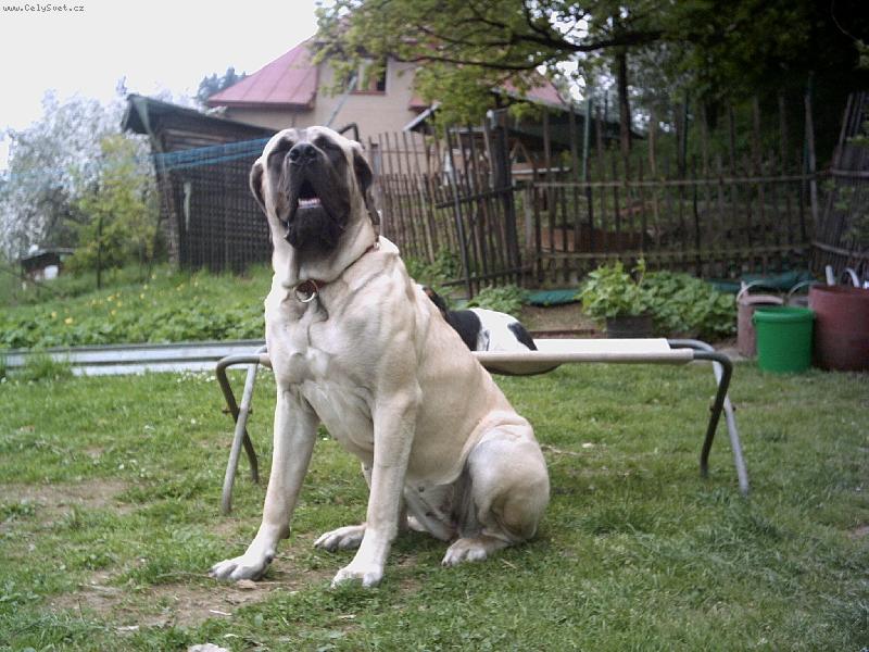 Foto: F�fa-F�fo ��kleb