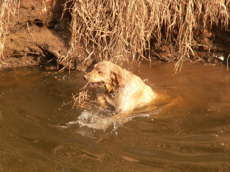 Foto: Candie z Ol�ov�ho ml�z�-bah��k