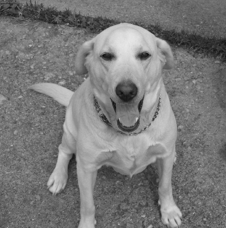 Foto: Nellynka-m�j mil�ek