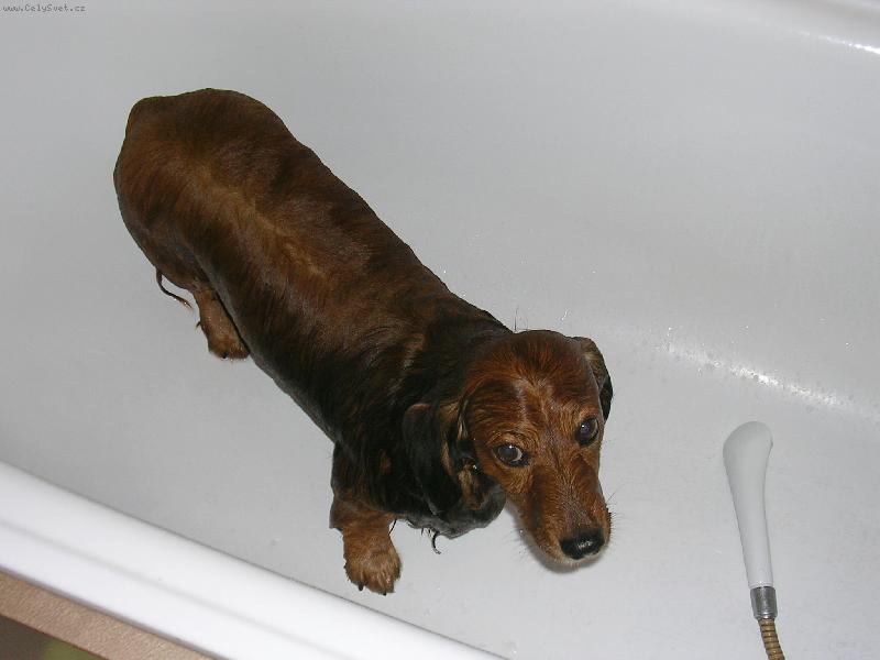 Foto: Nem�m r�d koup�n�