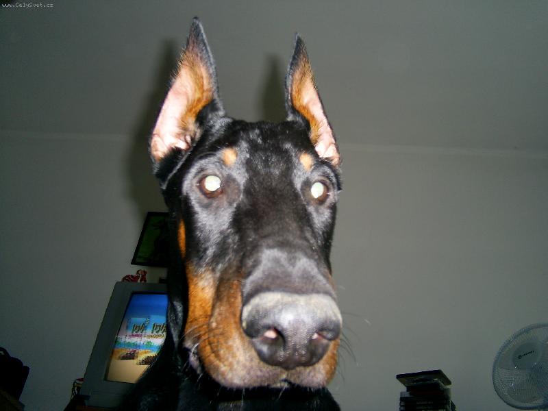 Foto: KUKU-Vykuk Vil�k