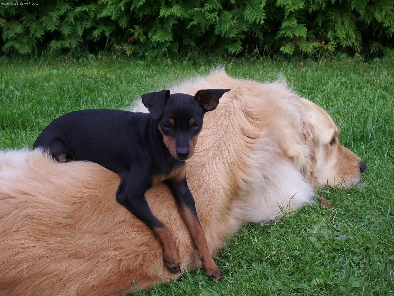 Foto: tady je moje m�ste�ko