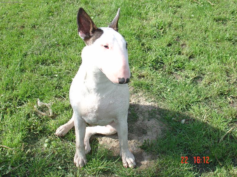 Foto: modelka-ilinka se koch�