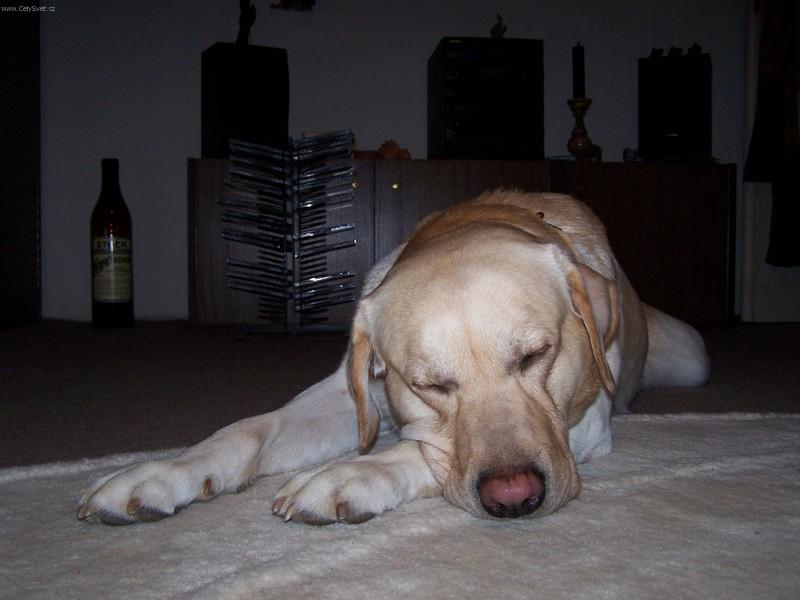 Foto: Jsem n�jak� unaven�-Atonek