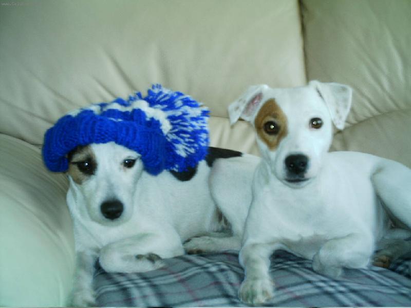 Foto: Jackynka spink� a mufinka taky-A kdy p�ijde ten je��ek