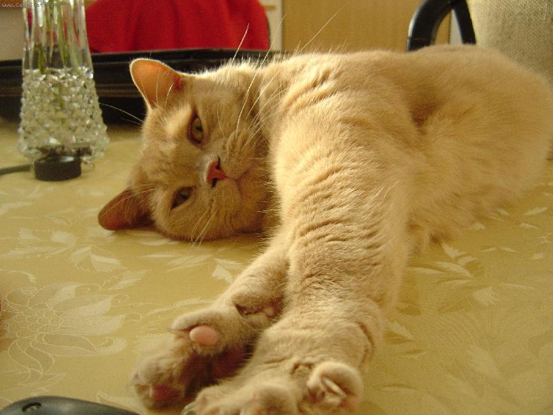 Foto: to se mi ale hezky spinkalo..