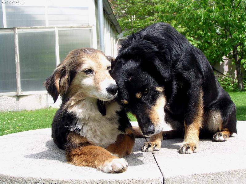 Foto: l�ska vo��k�