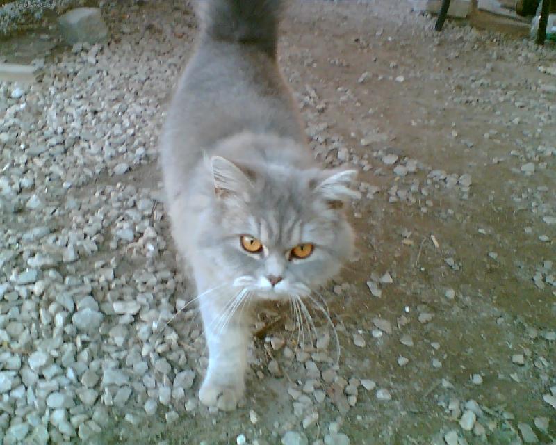 Foto: To jsem krasna modelka. Ciko