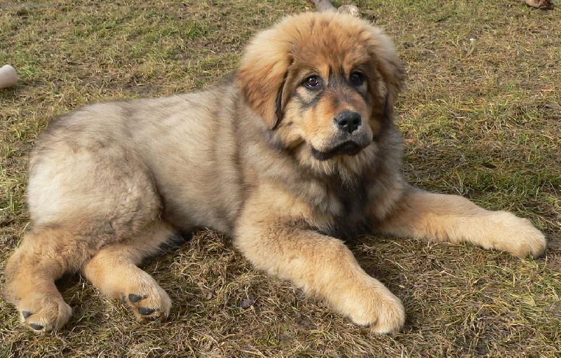 Foto: D�akul�nek