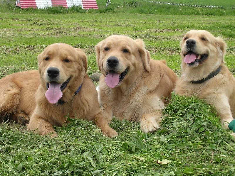 Foto: m�ma,syn a vnuk-m�ma,syn a vnuk