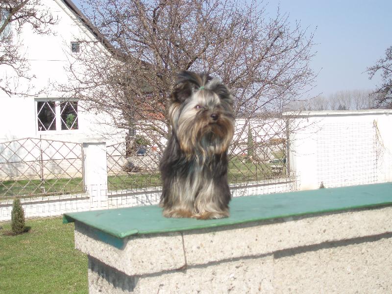 Foto: Baru�ka-na zahrad�