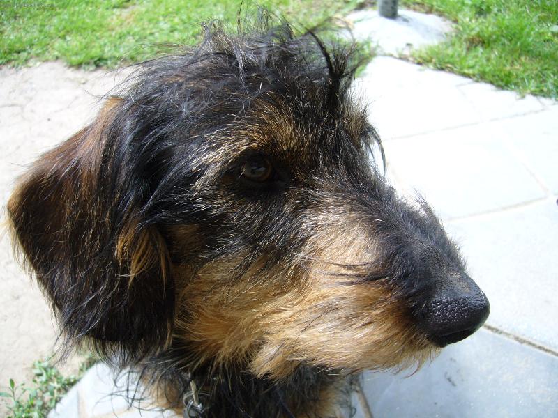 Foto: a znovu Ben�k