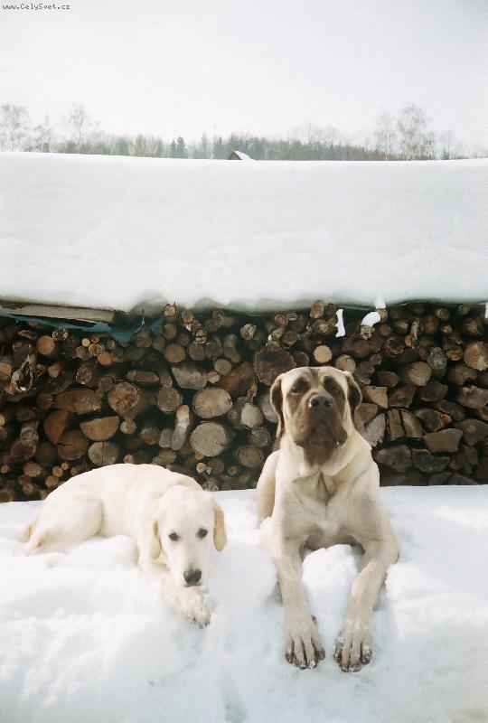 Foto: To bylo sn�hu,par�da :)-Na proch�zce