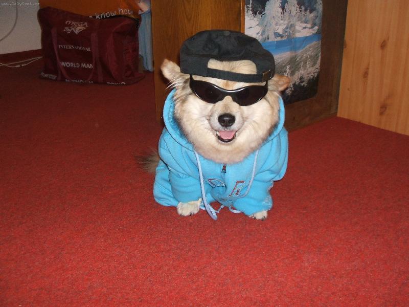 Foto: Ben�k na skatu-Ben�k a jeho pani�ka miluj� skateboarding